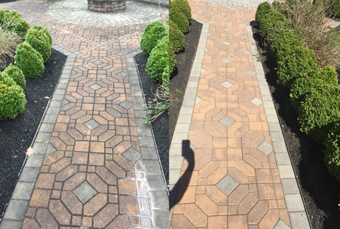 Brick Paver Cleaning